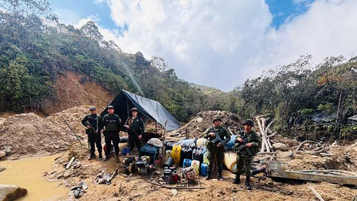 Estas son las cifras que reporta la Policía de las intervenciones y operativos contra los delitos ambientales en los últimos 9 meses