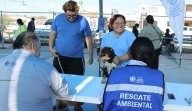 Brindan más de mil servicios veterinarios gratuitos en Minerales