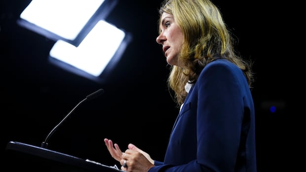 Danielle Smith pushes back at criticism for using Charter override on Alberta’s transgender laws