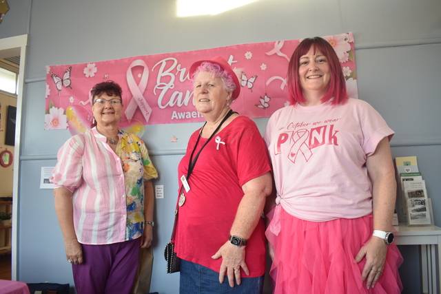 Pink extravaganza supports breast care - Ipswich West Moreton Today