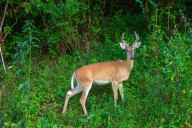 Morgantown Urban Archery Deer Hunt make timely donation as the federal government shutdown drags on