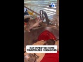 Rat-infested OC home frustrates neighbors as rodents run wild