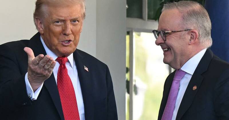Albanese aims to scale trade walls after Trump triumph