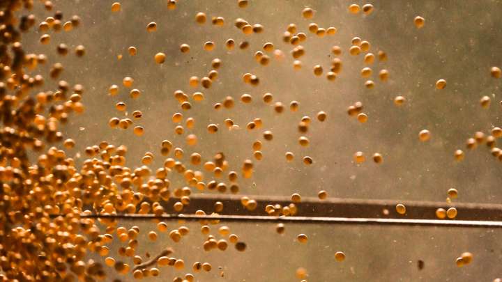 Farm Financial Planning Program offers personalized insight for producers