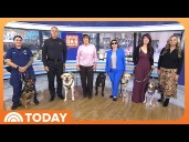 2025 American Humane Society Hero Dog Revealed on TODAY!