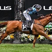 Jamie Melham on Half Yours only second woman to win Melbourne Cup