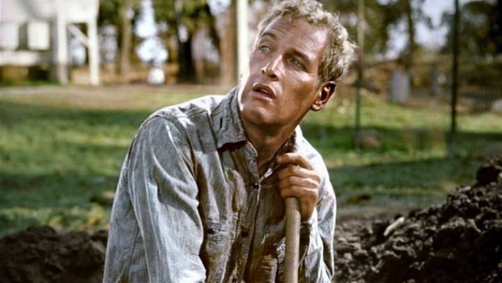 Cool Hand Luke's 'What We've Got Here Is Failure To Communicate' Line Holds A Rare Honor