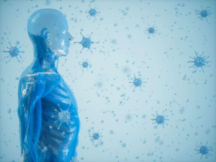 “Entrenar” el Sistema Inmunológico, revela una nueva investigación