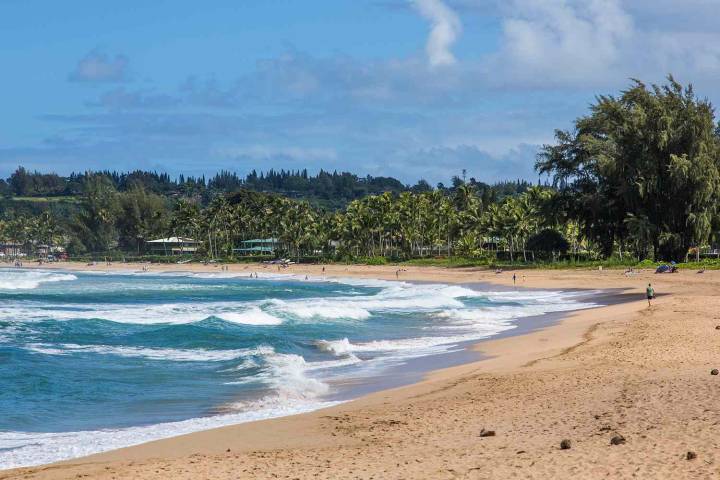 Off-Duty Lifeguard Bitten by Shark While Surfing
