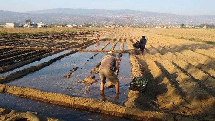 En Tláhuac, abandona Hernández a los rurales y agrícolas