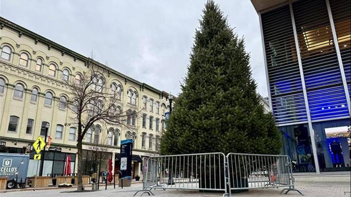 37-foot Christmas tree bringing holiday spirit to downtown Grand Rapids