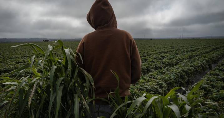 California's child farmworkers: Exhausted, underpaid and toiling in toxic fields