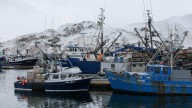 Alaska commercial fishing jobs have fallen to a record low, report says