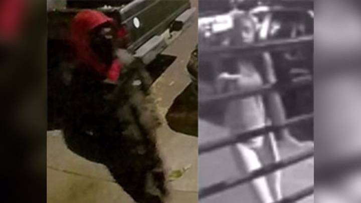 2 accused of stealing pizza from delivery person in South Philly