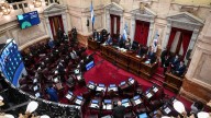 Tensión en el Senado: la oposición busca incomodar a Milei y dictaminar los cambios a la ley que limita el uso de los DNU