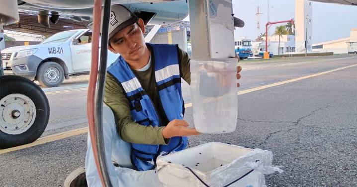 Instala EU unidad de mosca contra el gusano barrenador en Tampico