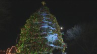 Canyon County Festival of Trees brings holiday joy to the Treasure Valley