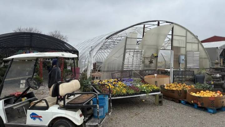 NWS Paducah confirms EF-1 tornado early Saturday morning in Todd County