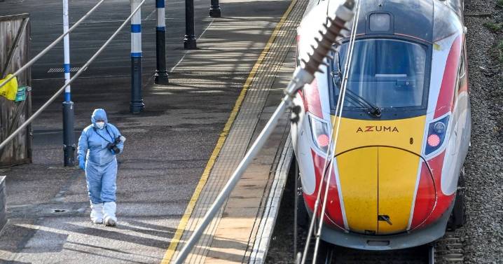 Chilling two words Huntingdon train stabbing suspect 'repeatedly shouted at cops'