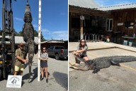South Carolina mother on maternity leave nabs 12-foot alligator her family plans to turn into rug
