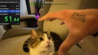 YouTuber turns annoying his cat into a speedrun