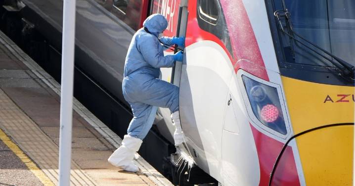 Man charged with attempted murder over train stabbing that wounded 11
