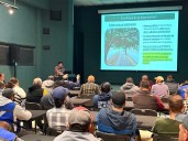 En Ciudad Juárez, los árboles son un tesoro, expresa especialista