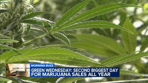 Green Wednesday: Some partake in new Thanksgiving tradition where recreational marijuana is legal