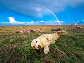 Our world in photos: November 25