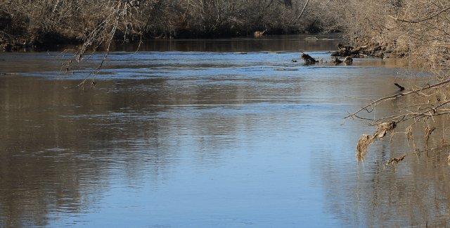 Contact advisory lifted for portion of Pearl River experiencing excessive algae growth