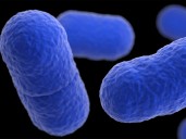 Worsening listeria outbreak tied to pasta products kills 6, hospitalizes 25