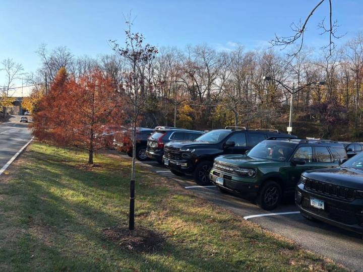 Trees Take Root at Cos Cob Railroad Station