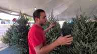 Tariff pressures hit artificial Christmas trees prices as Orlando real