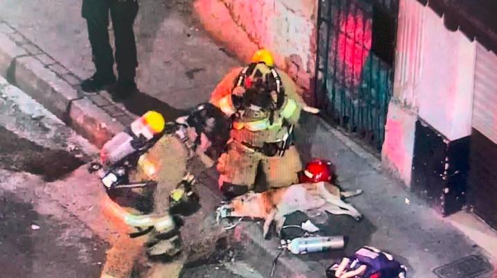 En video | Milagro en las llamas: bomberos rescataron a un perro que quedó atrapado en incendio en el centro de Medellín