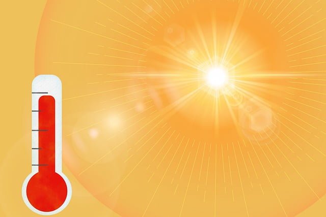 2025 set to be second or third warmest year on record: WMO