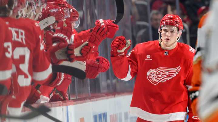 Red Wings rookies get taste of tough transition to NHL