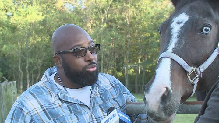 'It hurts so much' | Tragedy hits home for Slidell horseman as barn fire claims 3 horses