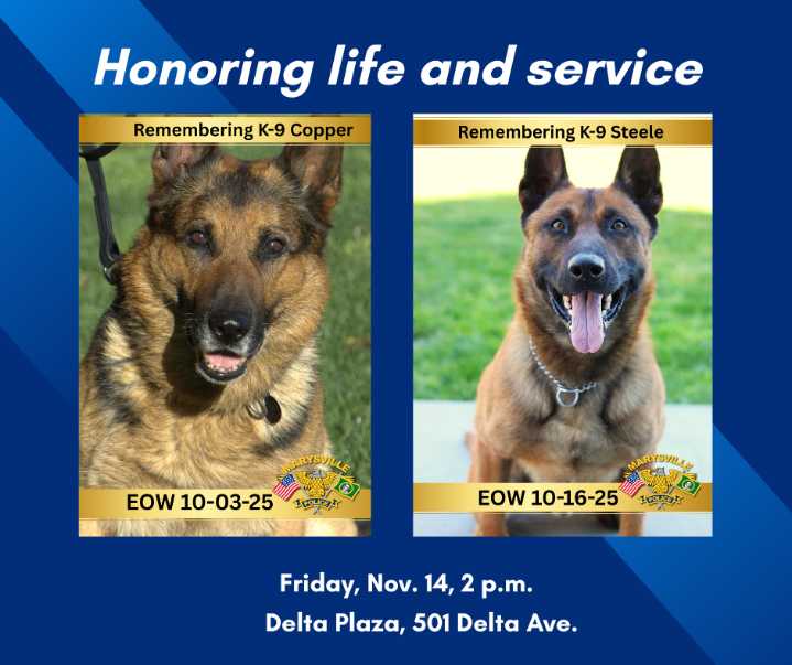 Community invited to honor Marysville K-9’s Copper and Steele