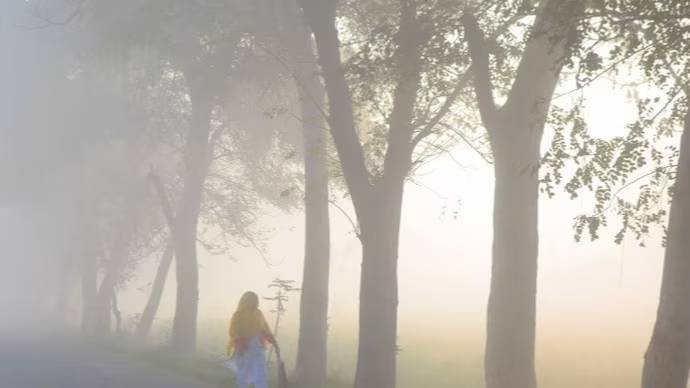 Winter Chill: Mercury Goes Below 15 Degrees Celsius At 16 Places In Odisha; Check Lowest Temperatures