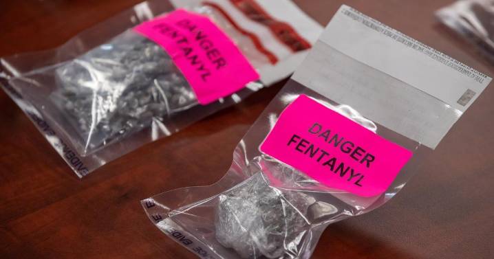 Illicit opioids like fentanyl linked to rise in fatal overdoses in Nova Scotia: study