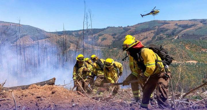 Autoridades advierten temperaturas sobre 33 °C y activan alerta por incendios forestales