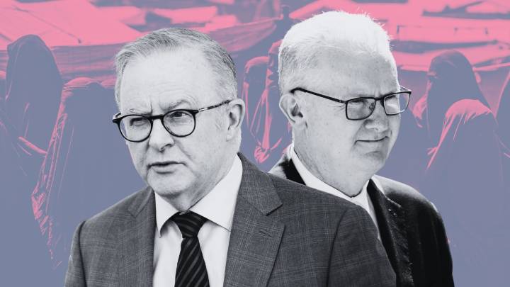 Labor and Greens team up to block opposition motion to seek transparency on Albanese government’s Gaza refugee intake