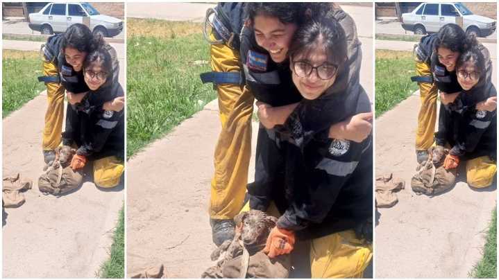 Operativo heroico: así sacaron a un perro de una perforación peligrosa