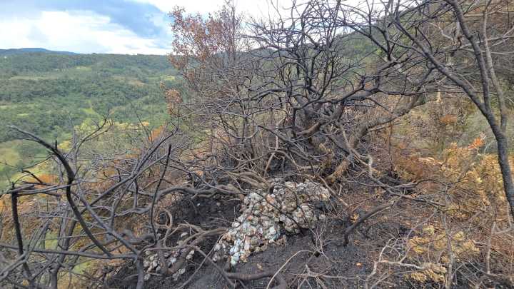 Incendio forestal en San Miguel de Sema tendría como causa la quema de pañales y basura, según la CAR