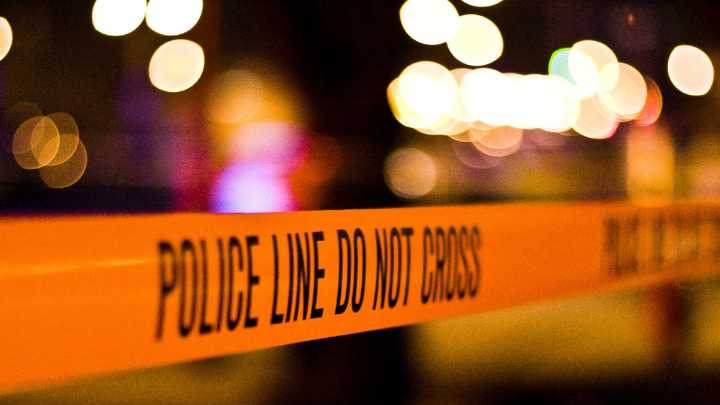 Leopard Enters Nashik Neighborhood, Eight People Injured During Rescue Op