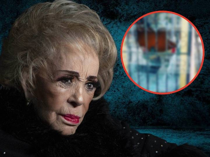 ¡Indignante! Destrozan tumba de Silvia Pinal; así se ve tras el ataque