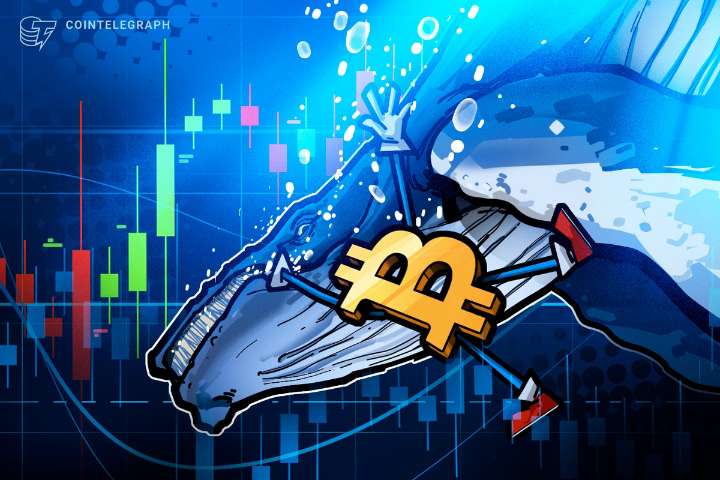 Bitcoin Long-term Whales ‘Keep Dumping’: Will it Push BTC Price Lower?