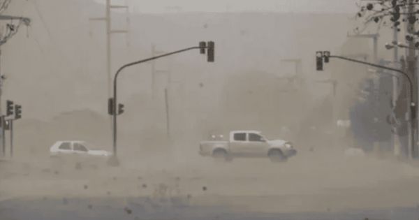 La provincia que entró en emergencia climática: ráfagas de más de 140 km/h