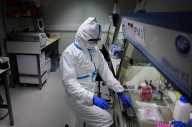 Bird flu virus could risk pandemic worse than COVID if it mutates, France’s Institut Pasteur says