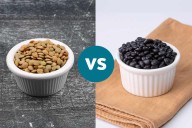 Lentils vs. Beans: Which Provide More Protein and Fiber?